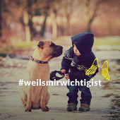 Top 3 Instagram Posts der Provinzial Rheinland